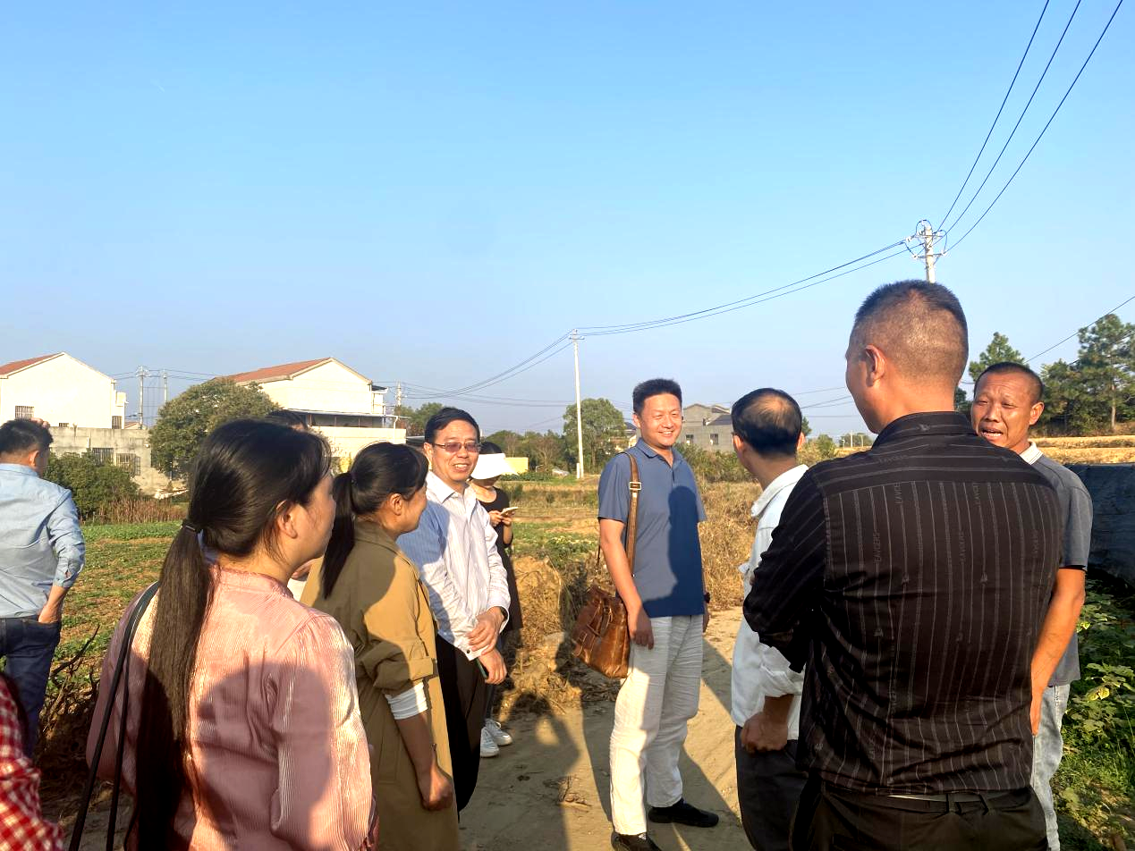 余志与茶叶种植户交流(侯睿 摄)