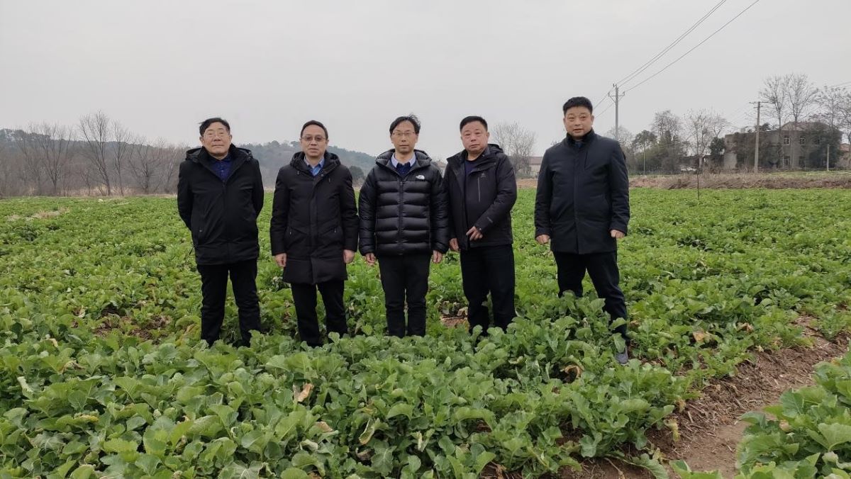 专家学者一行人钼肥实验基地项目选址(通讯员 吴斌 摄)