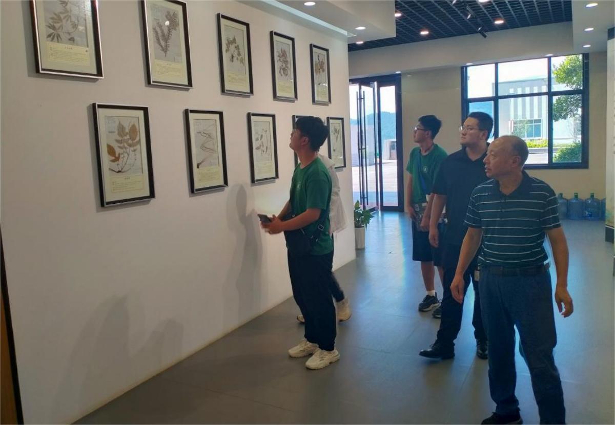 何经理引导团队成员参观欣中医药标本展厅(必赢242net官网 供图)(1)