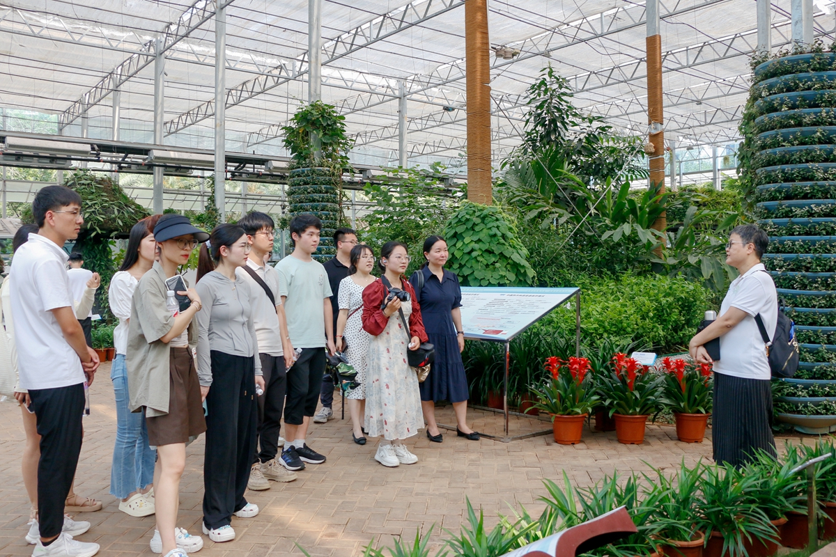 参观热带作物品种资源展示园(通讯员 周子恒摄) 参观热带作物品种资源展示园(通讯员 周子恒摄)