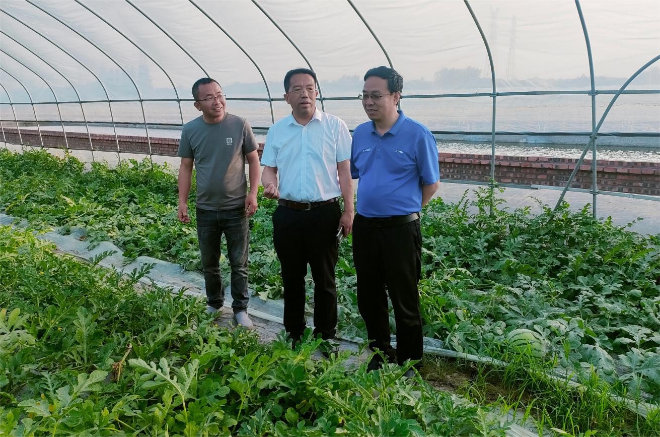 现场技术指导(吴斌 摄)